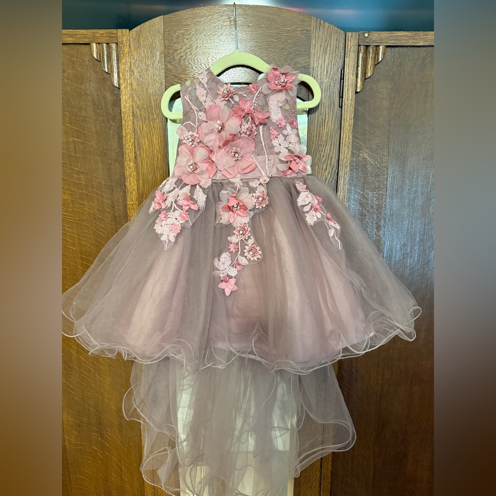 Lala & Erina Los Angeles toddler flower girl/wedding party dress, size 2